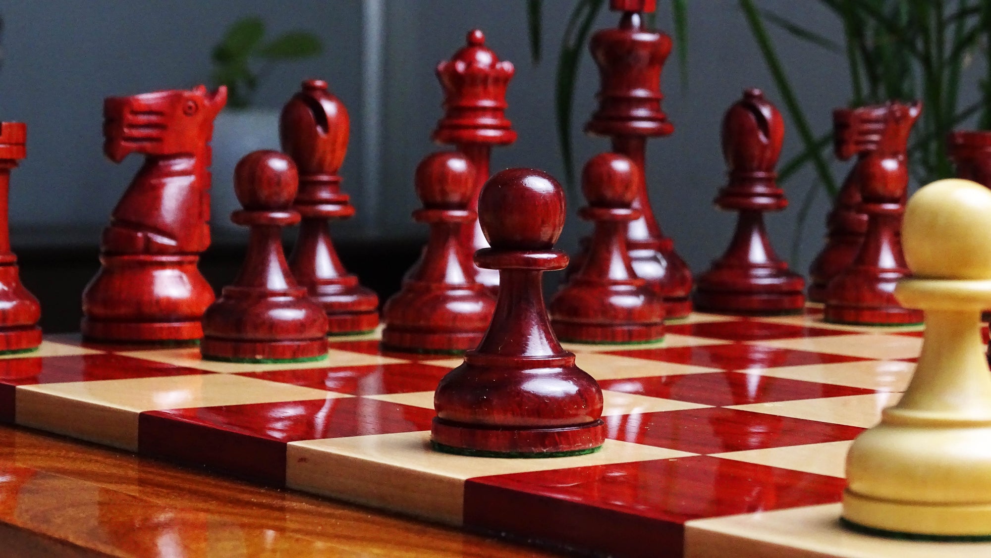 The Repro of 1973 Petropolis Interzonal Tournament World Chess Championship Weighted Chessmen in Padauk & Boxwood 4.25" - 2000 Grams Weight