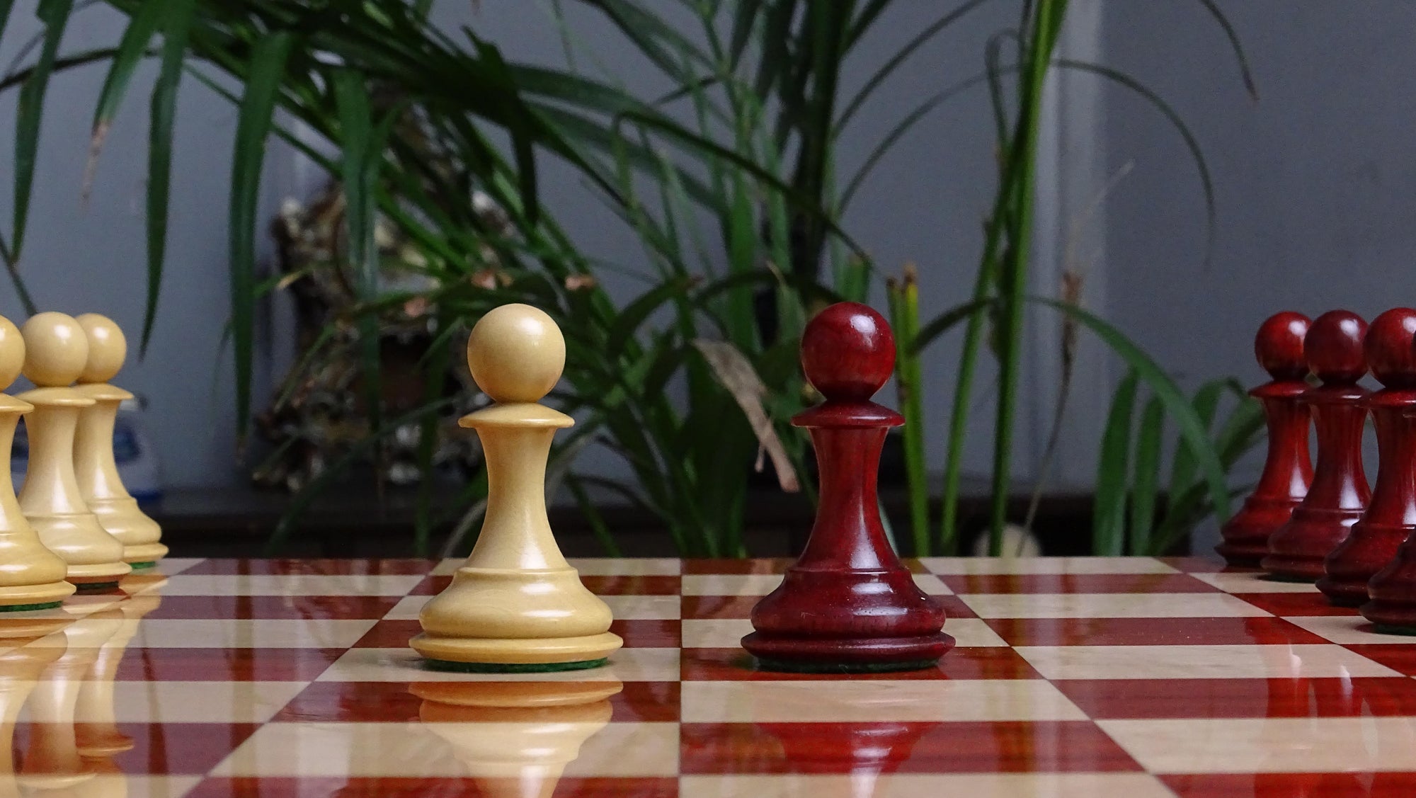 The 4.4 Inch Luxury Imperial Collector Series Artisan Chess Pieces Triple Weighted in Padauk Wood and Boxwood - 1800 GMS