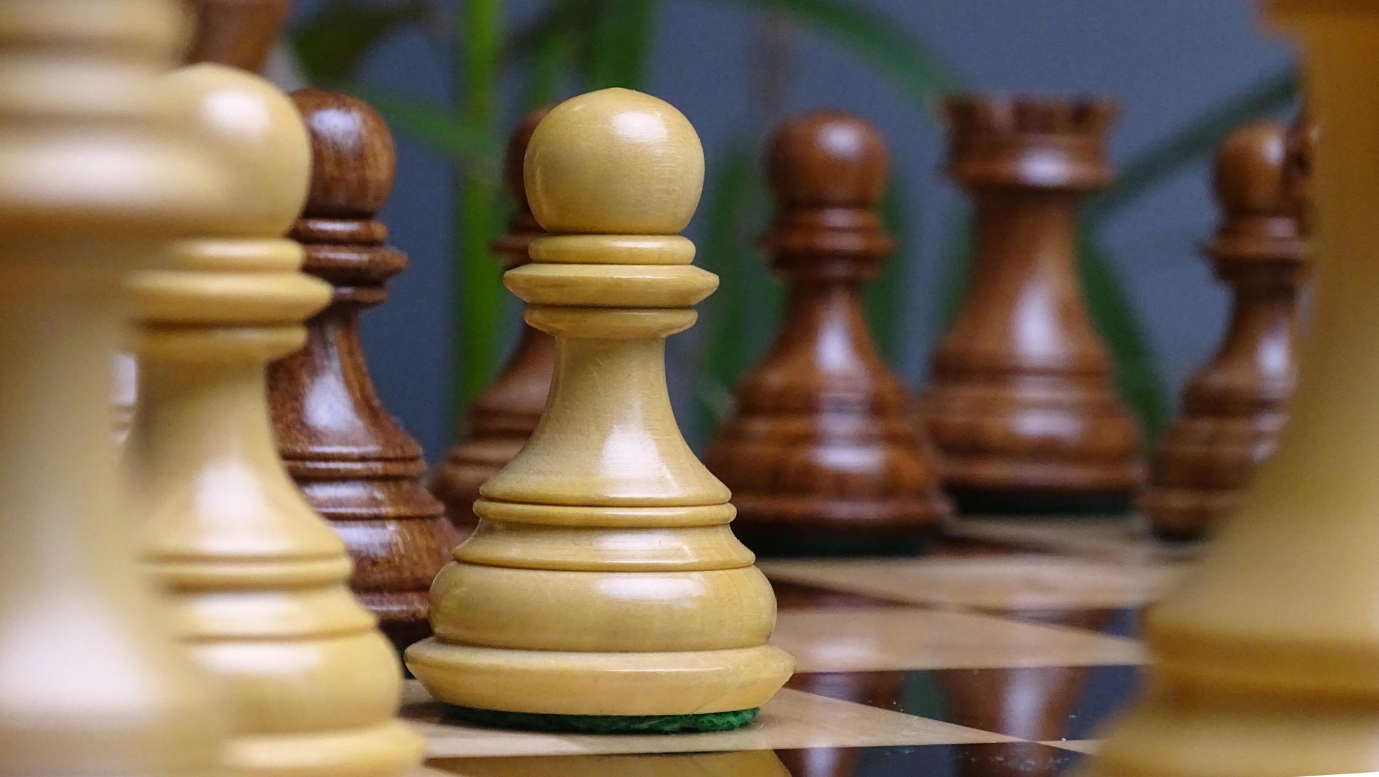 The Old Columbian Series Weighted Chess Pieces in Sheesham Wood and Boxwood 3.8 Inch King - 1000 Grams Weight