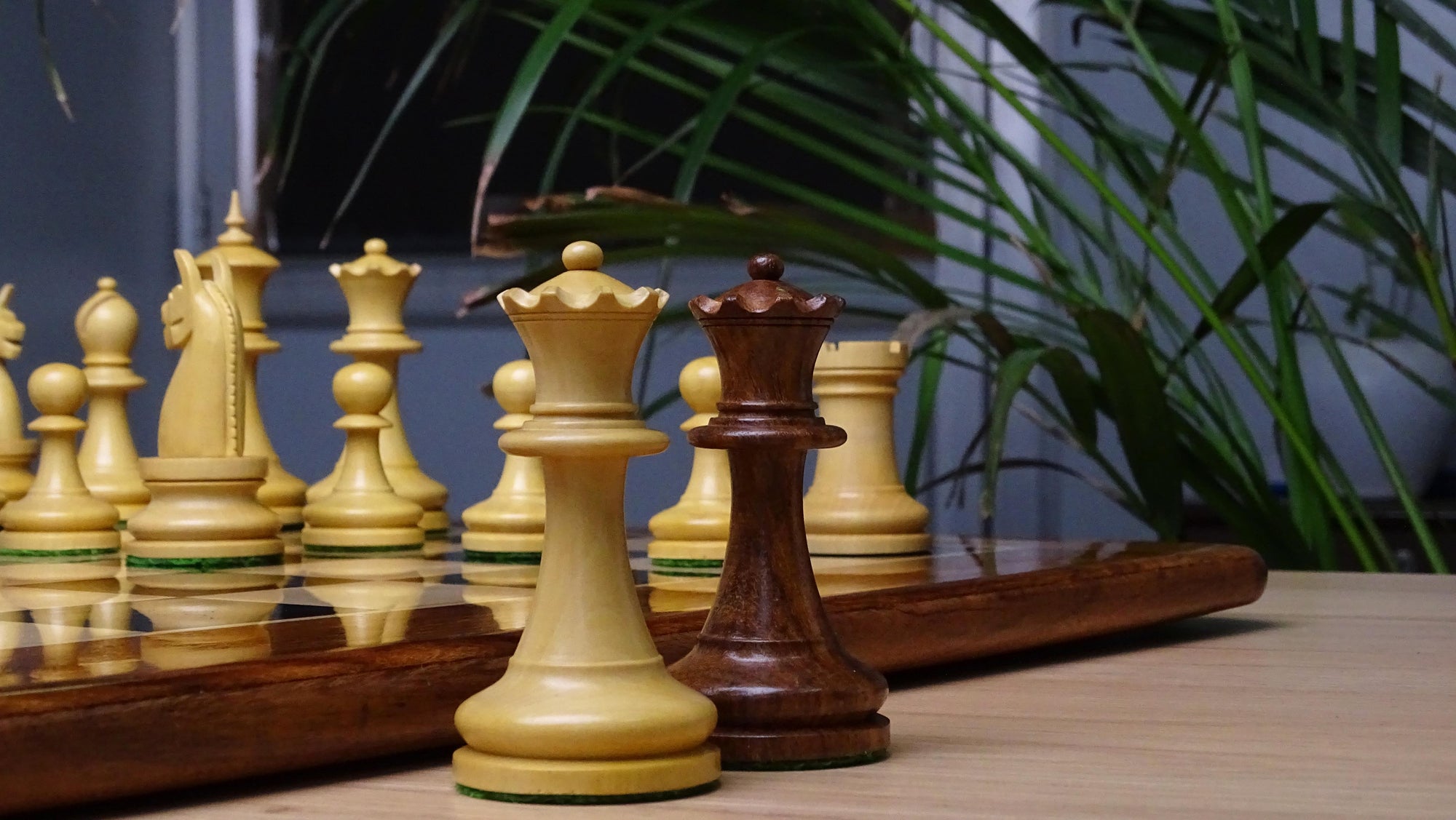 1904 Reproduced American Chess Company's Tournament 3.8 Inch Chess Pieces in Sheesham & Natural Boxwood - 1000 Grams Weight