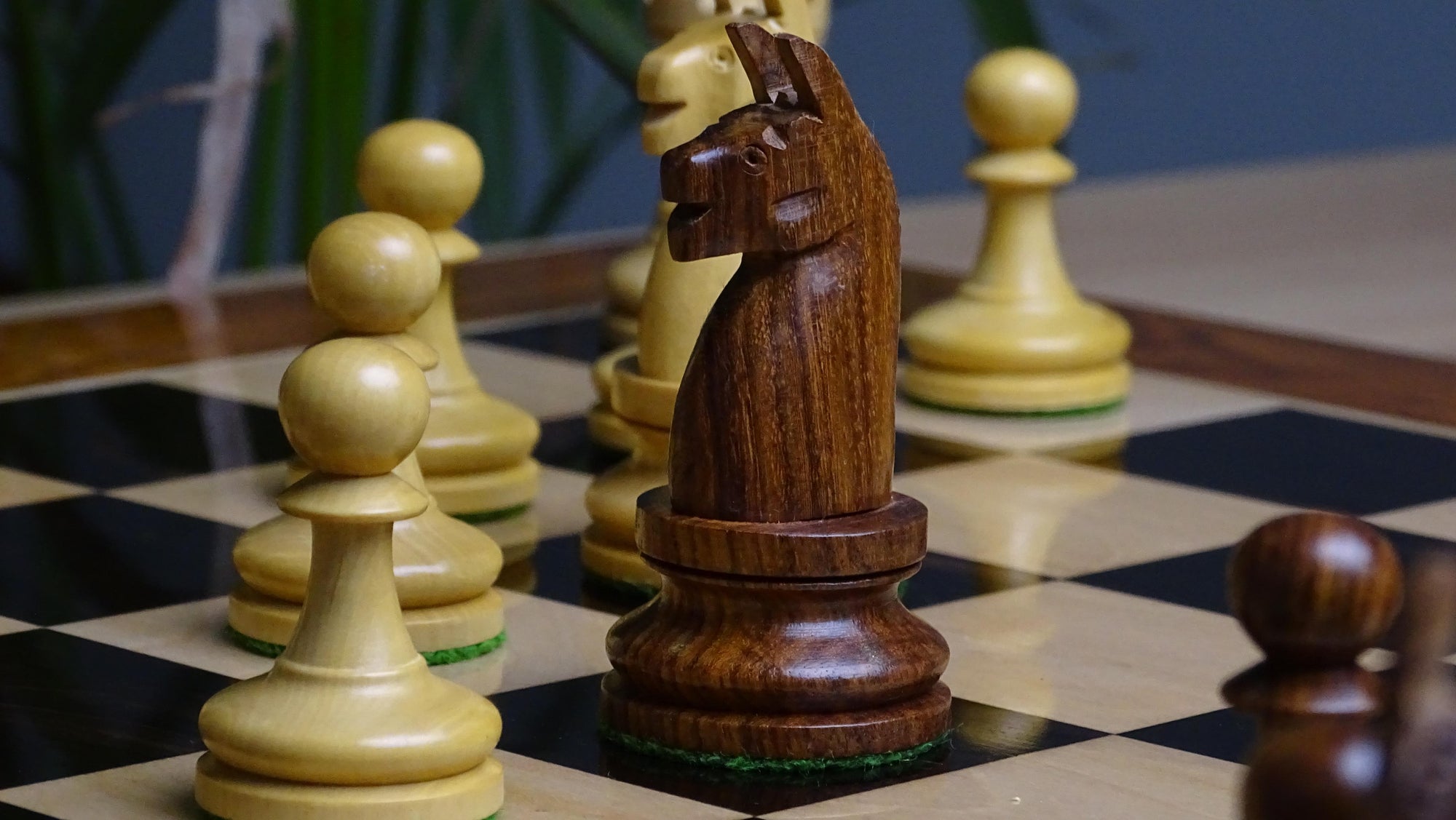 1904 Reproduced American Chess Company's Tournament 3.8 Inch Chess Pieces in Sheesham & Natural Boxwood - 1000 Grams Weight