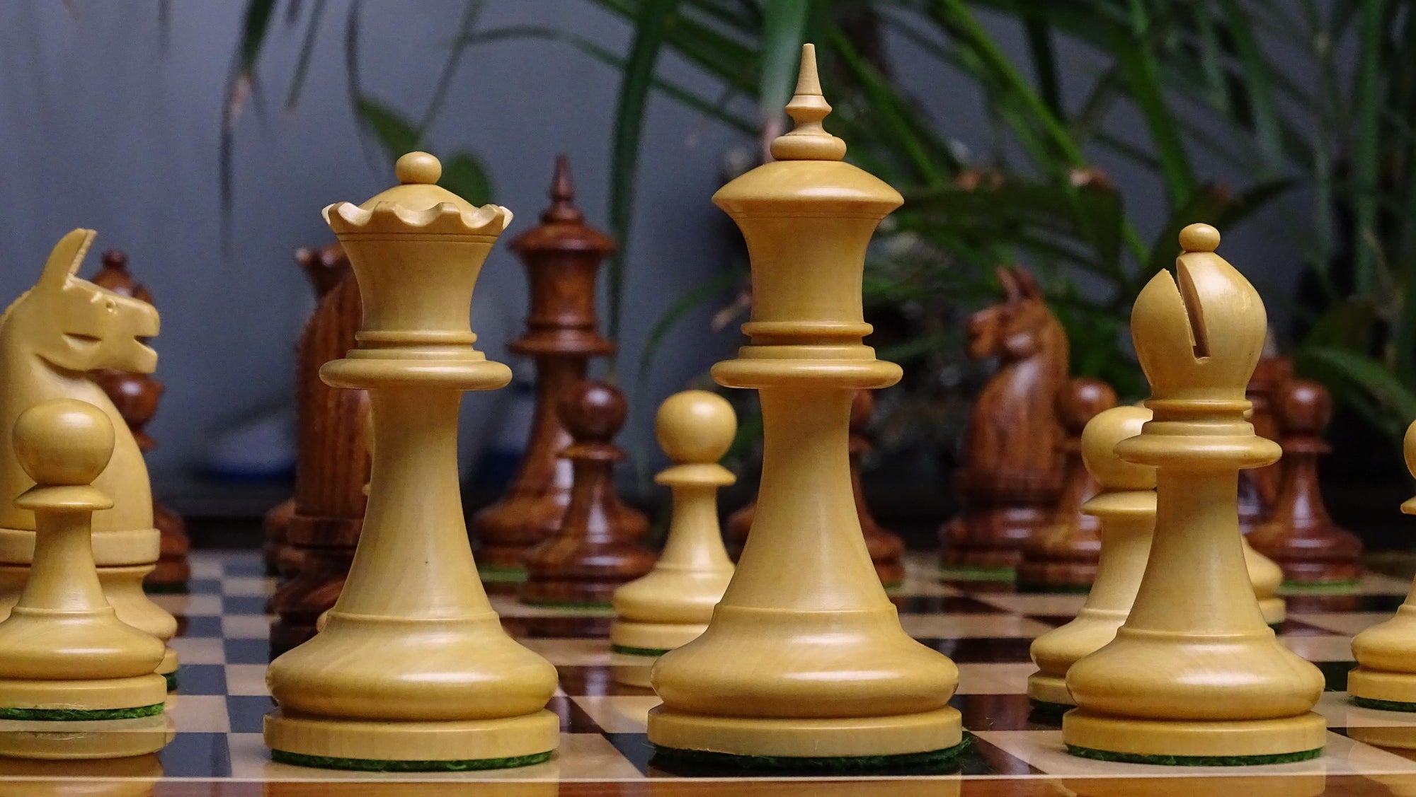 1904 Reproduced American Chess Company's Tournament 3.8 Inch Chess Pieces in Sheesham & Natural Boxwood - 1000 Grams Weight