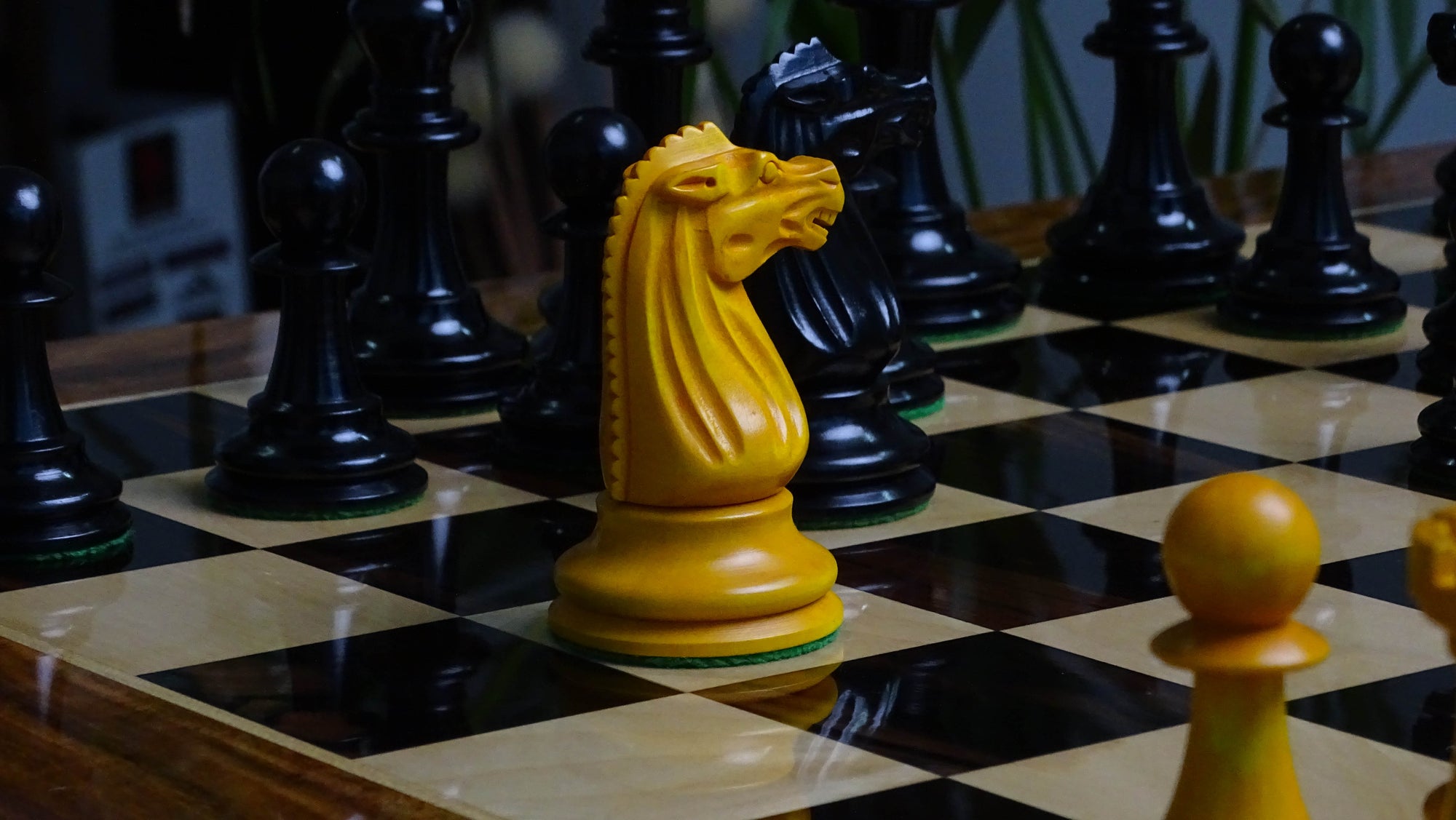 Circa 1887 Turner Teich Soviet-Staunton Style Weighted 4" Chess Pieces in Ebony & Golden Antique Boxwood - 1700 Grams Weight