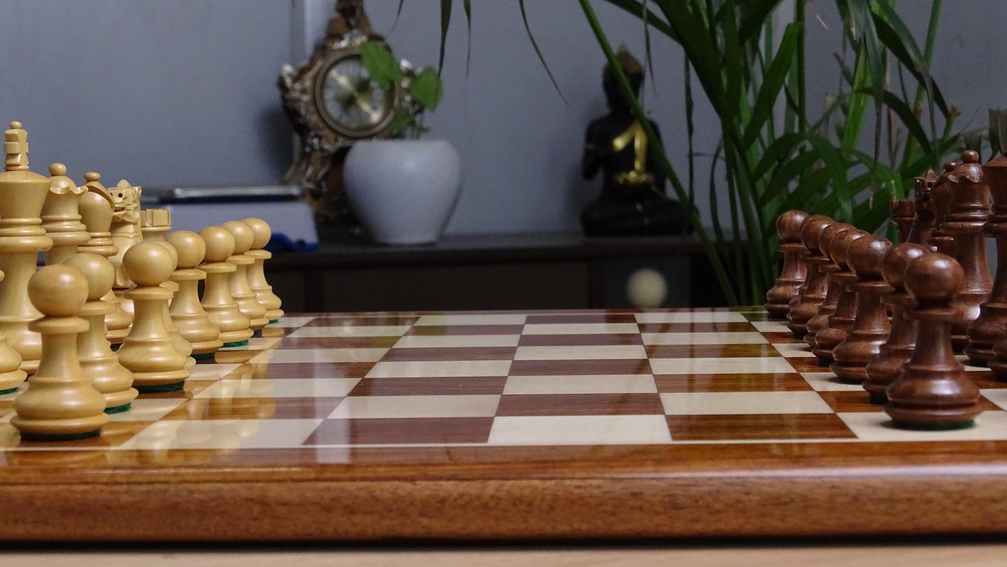 The 3.0" Stallion Weighted Staunton Chess Pieces in Sheesham Wood and Boxwood - 600 Grams Weight